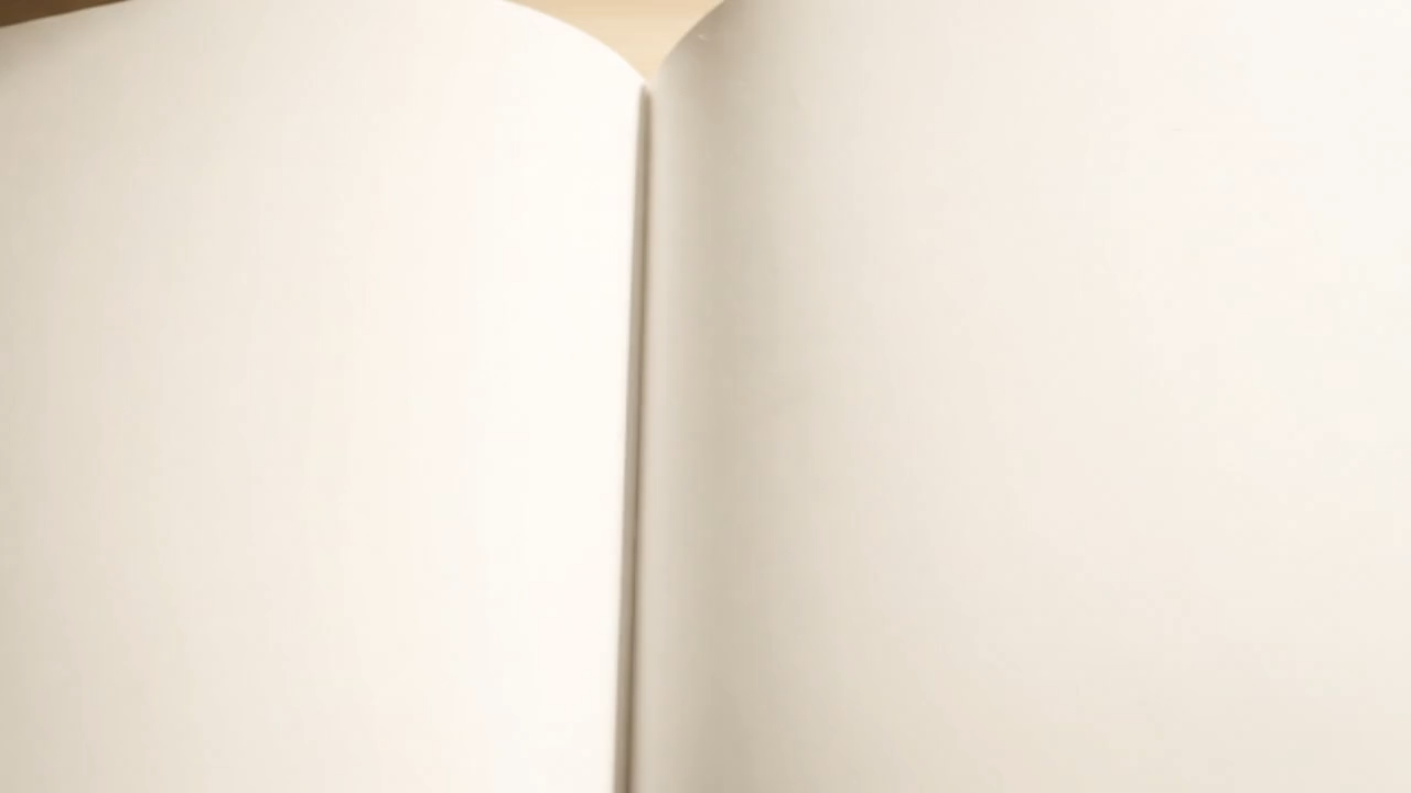 Full Creative Control: Customization & Integrated Scripting