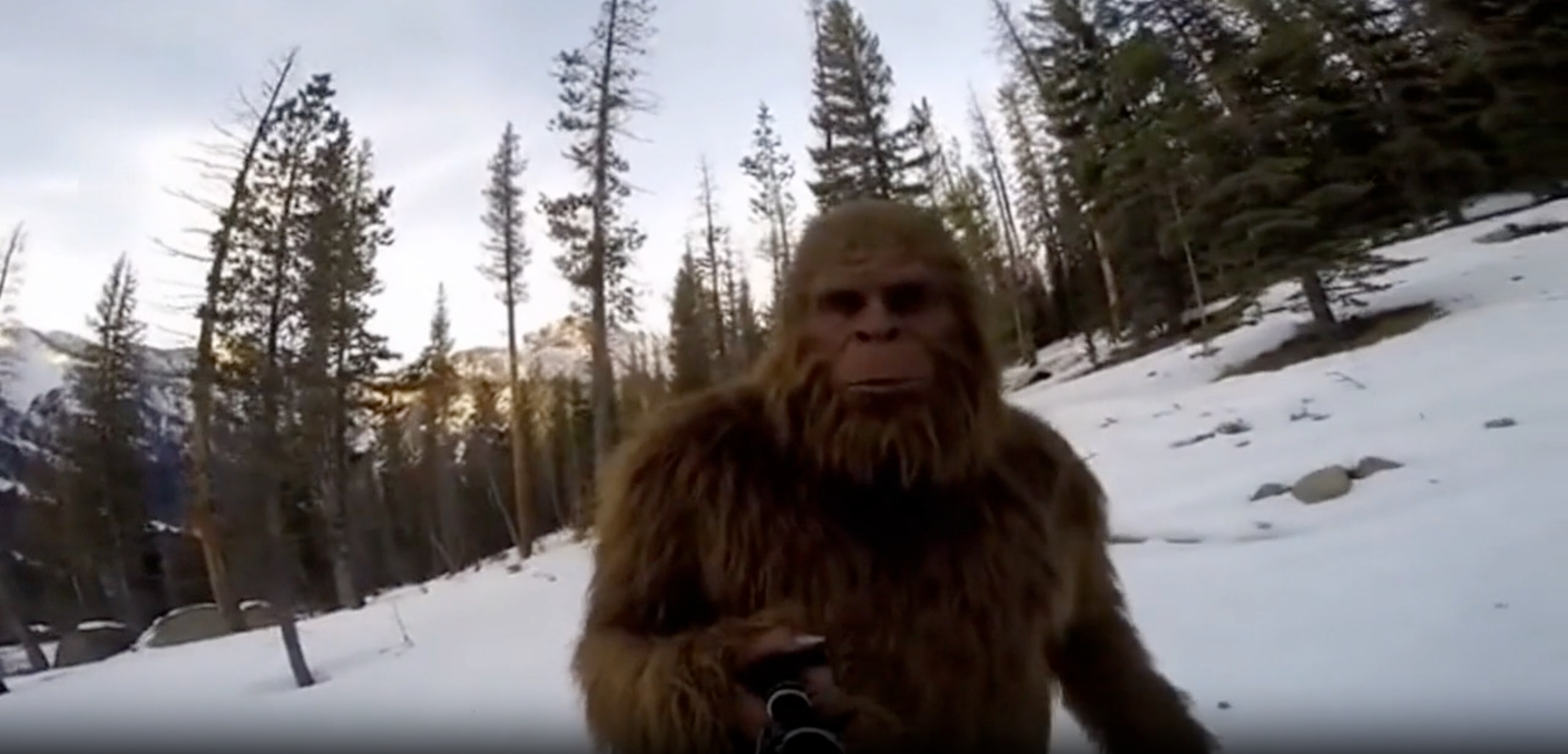 Viral-Ready Format for Social Media