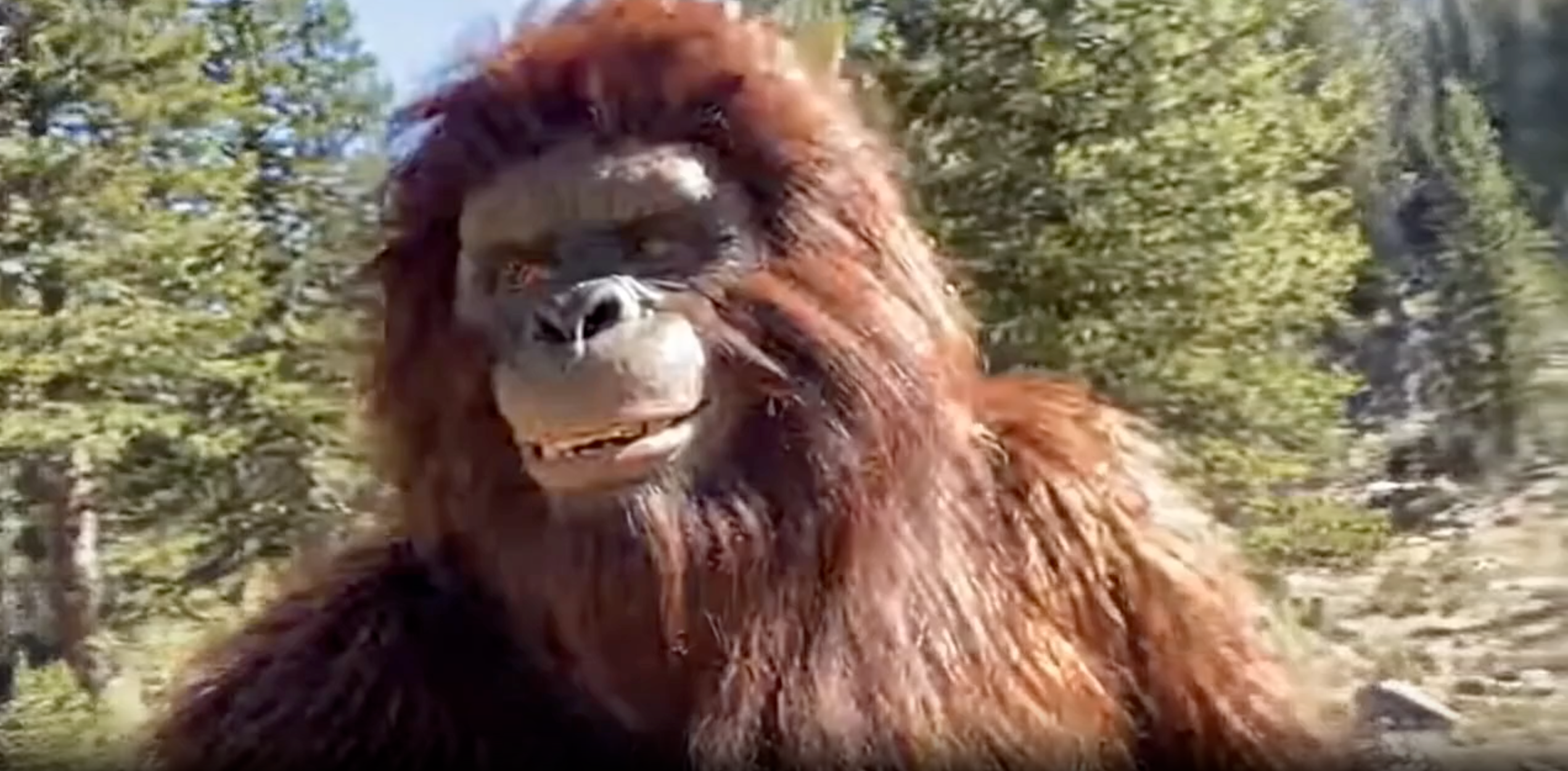 Flexible Storytelling & Custom Scripts