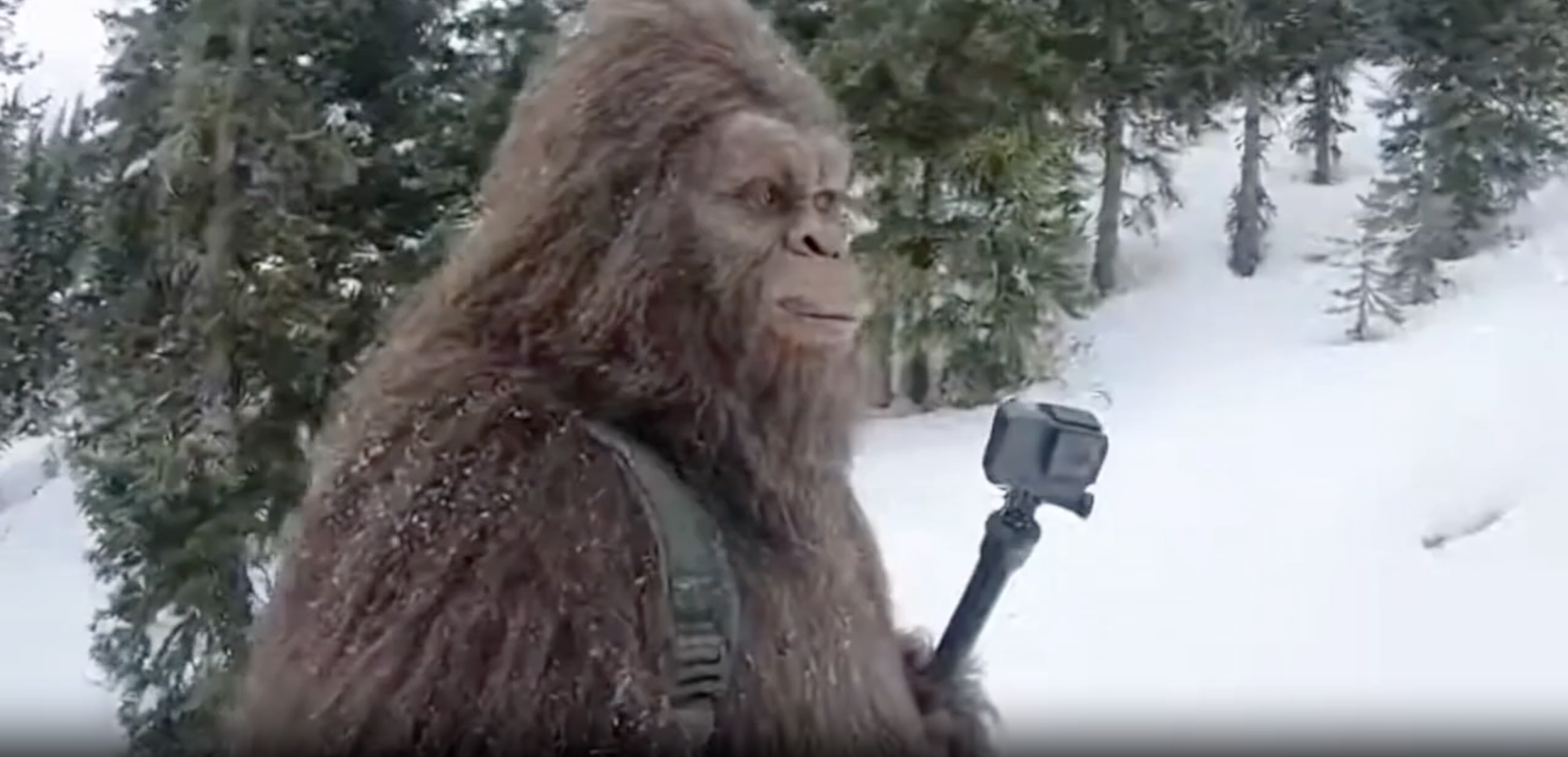 Instant Processing & High Quality Output