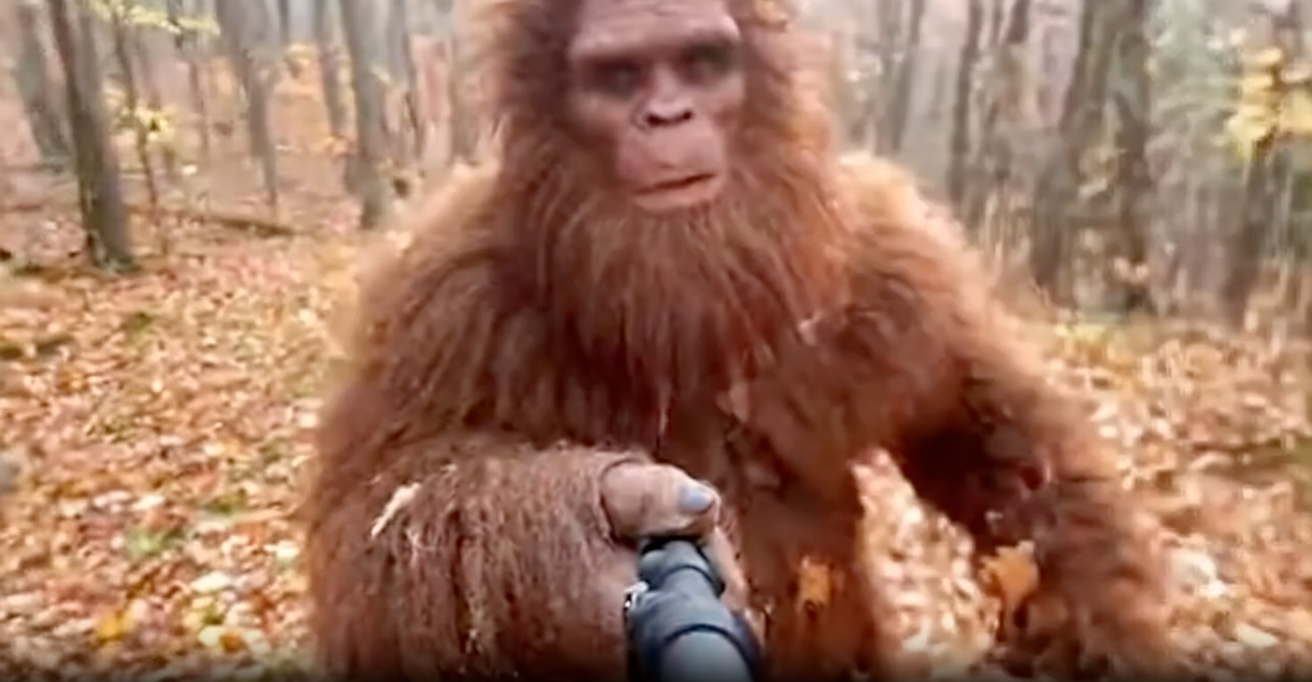 Dominate Social Media with Viral Bigfoot Content