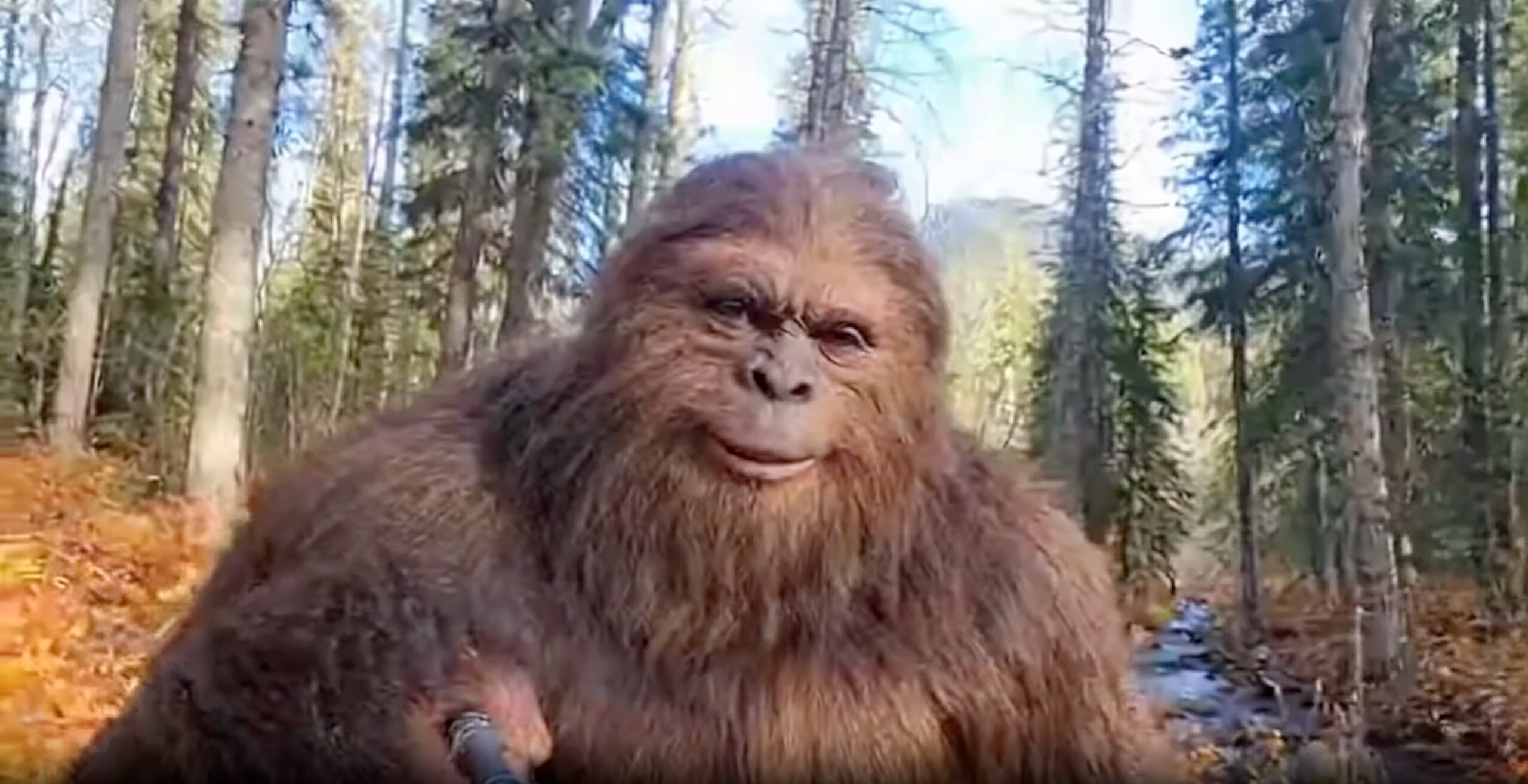 Create Hilarious First-Person Sasquatch Vlogs